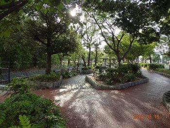 三津川公園.jpg