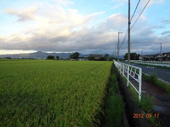 比叡山を見据えた田園風景.jpg
